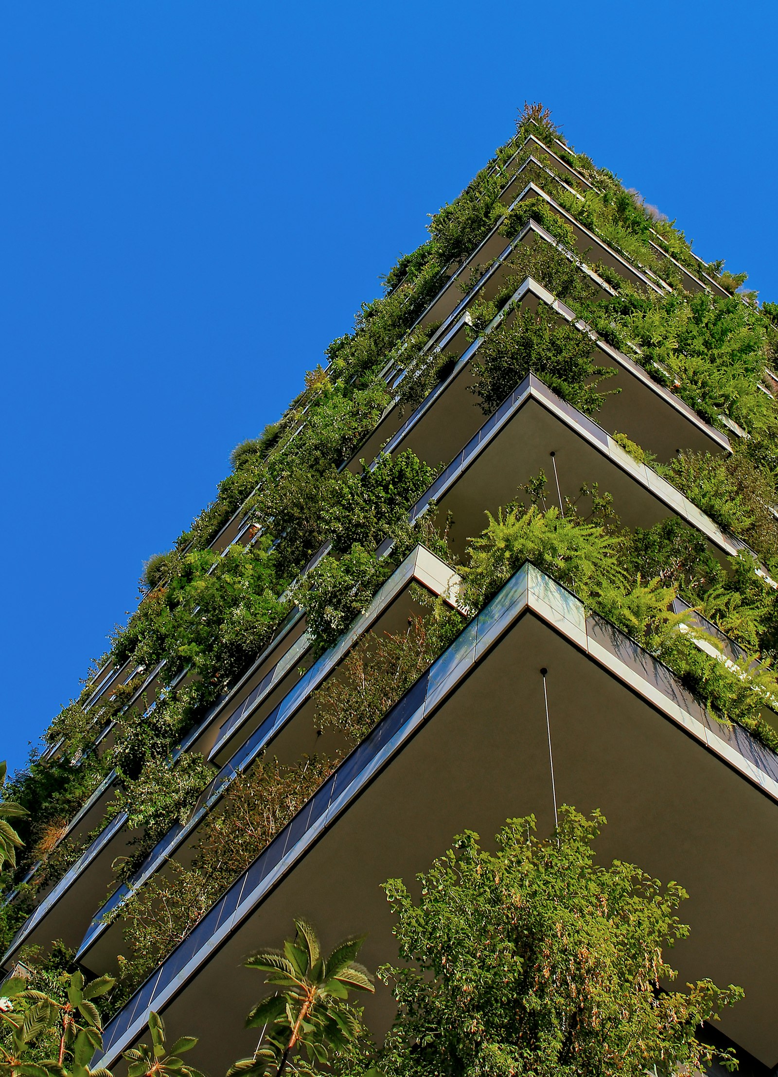 Rooftop solar panels on a Chennai residential building